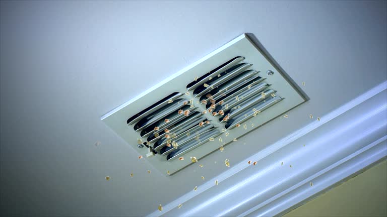 Best Home Air Vent Cleaning  in Easton, MD