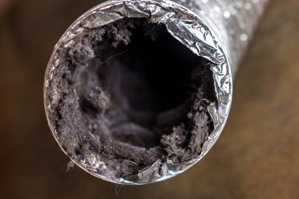 Best Air Duct Cleaning Near Me  in Easton, MD