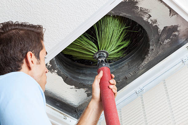 Best Professional Duct Cleaning Services  in Easton, MD