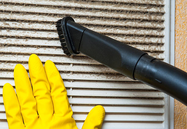 Best Air Duct Mold Removal  in Easton, MD